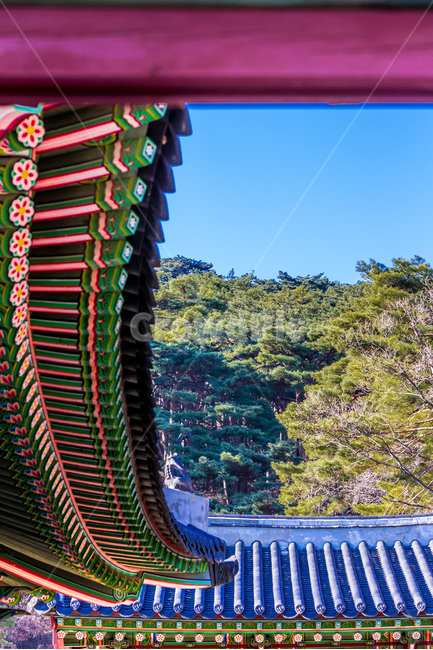 선,패턴,기와,단청,고궁,문화재,문화유산,한국의미,한국전통,한국문화,korean traditional,korean culture,건축물,건물외관,exterior,building,structure,architecture,construction