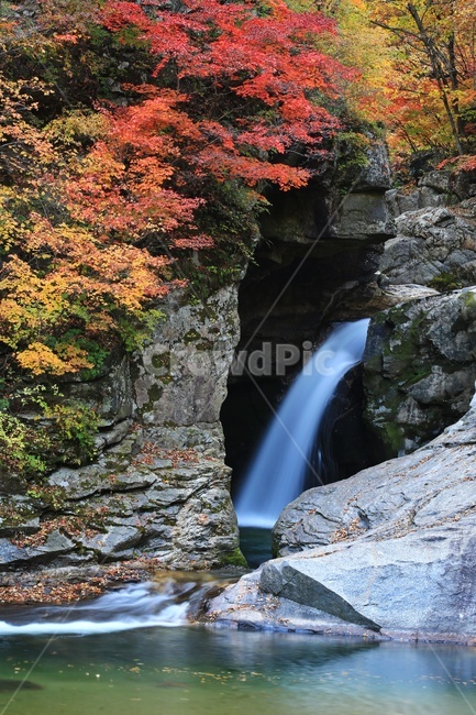 water,물,nature,자연,outdoors,옥외,waterfall,폭포,tree,나무,plant,식물,leaf,잎,stream,흐름,경치,경관,풍경,계곡,가을,만추,추색,강원도,인제,상남,용소폭포,상남용소폭포,상남가을