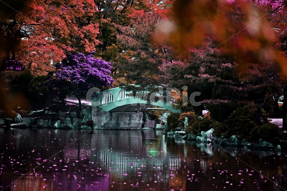 저수지,물,자연,나무,풍경,자연,풍경,nature,landscape
