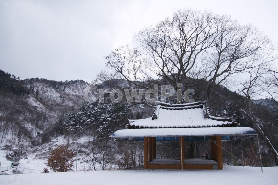 겨울,눈,겨울풍경,설경,겨울산,계절,감성,감정,힐링,휴식,자연,winter,season,healing,눈사진,nature,겨울,계절,winter,season,자연,풍경,nature,landscape,한국자연풍경,한국자연경관,korea nature landscape,시골,마을,country,rural,town,outdoors,옥외,snow