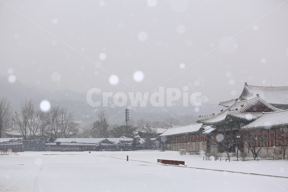 겨울,눈,설경,경복궁,궁,한국,전통,winter,snow,palace,korea,tradition,겨울,계절,winter,season,한국전통,한국문화,korean traditional,korean culture,랜드마크,landmark,tourist attraction,한국랜드마크,한국관광지,한국명소,korea landmark,korea tourist attraction,건축물,건물외관,exterior,building,structure,architecture,construction
