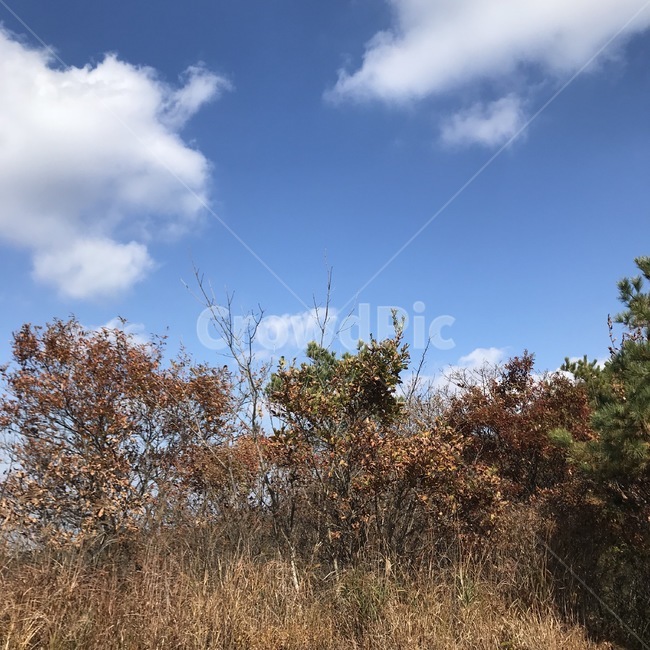가을,풍경,경치,모악산,자연,가을,계절,fall,autumn,season,nature,outdoors,옥외