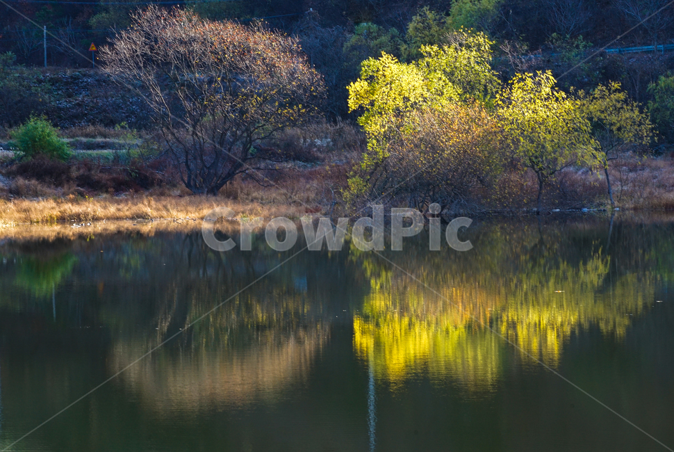 호수,가을,반영,투영,풍경,계절,단풍,나무,숲,가을,계절,fall,autumn,season,자연,풍경,nature,landscape,water,물,outdoors,옥외