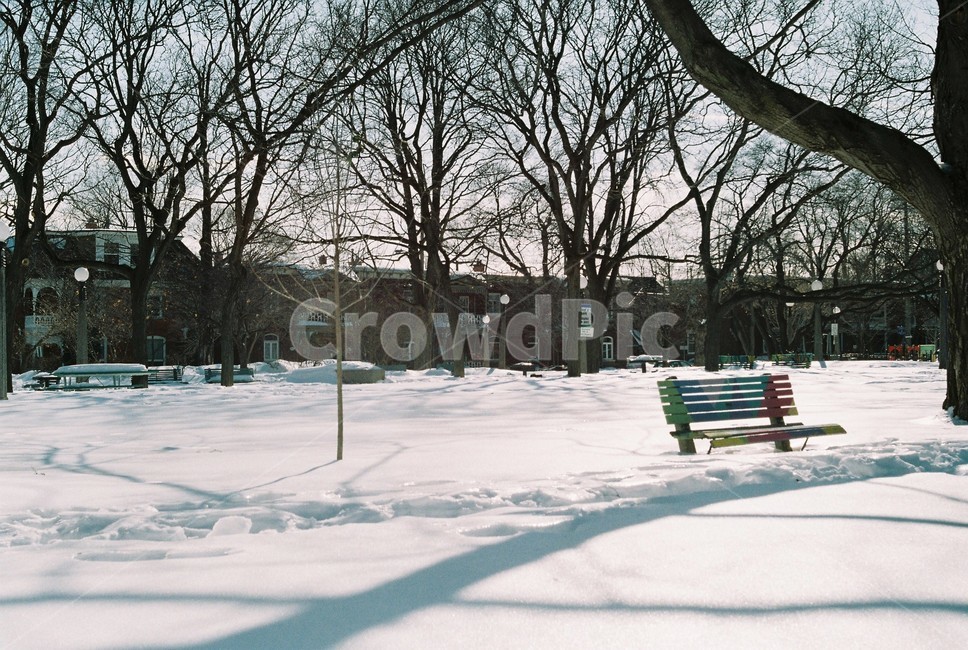 겨울,공원,벤치,눈,눈밭,겨울,계절,winter,season