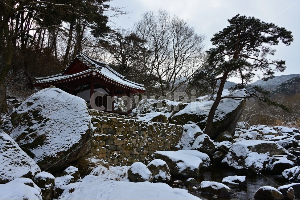 nature,자연,outdoors,옥외,ice,빙,plant,식물,tree,나무,roof,지붕,바위,광주,북구,무등산,풍암정,풍암정설경,설경,겨울,계절,눈