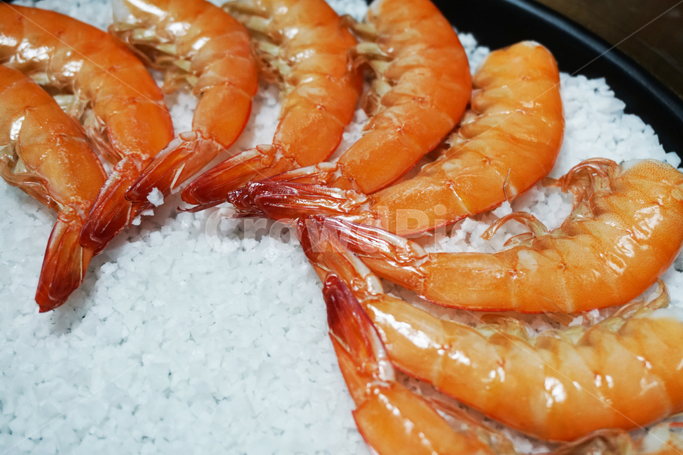 새우,새우구이,소금구이,소금,근접사,음식,food,cook,붉은색,주홍,새우소금구이,음식,식재료,요리,food,cook,meal,dishes,food reserves,수산물,해산물,fishery products,seafood