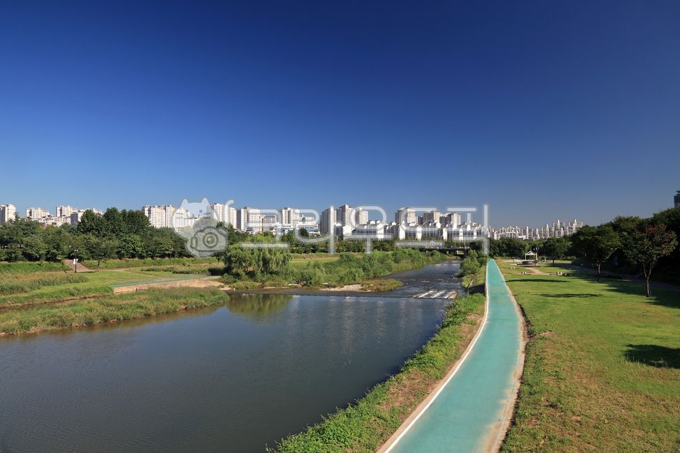 city,green space,building,trail,Highquality land,stream,road,Bundanggu,sight,River,park,sky,gyeonggido,green,nature,Tancheon,Seongnam city,tree,downtown,riverside,Per minute,water,environment,korea,background,SeongNam,river,apartment,walk