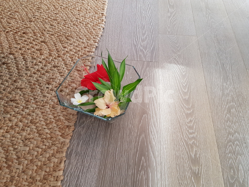 힐링,식물,꽃,flower,plant