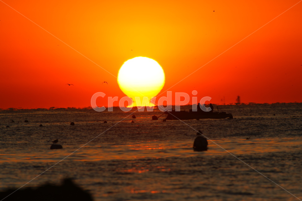 일출,바다,오메가,어부,풍경,자연,풍경,nature,landscape,sunlight,햇빛,dawn,새벽,red sky,붉은 하늘,outdoors,옥외,sunset,일몰,sky,하늘,dusk,황혼
