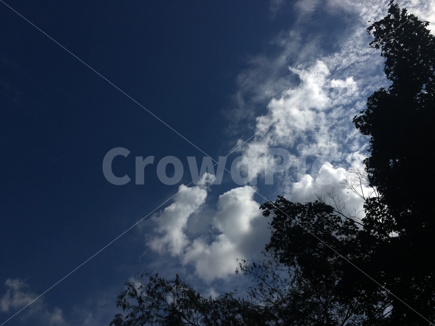 풍경,배경,나무,하늘,구름,자연,Sky,Natural,Cloud,Blue,White,자연,풍경,nature,landscape