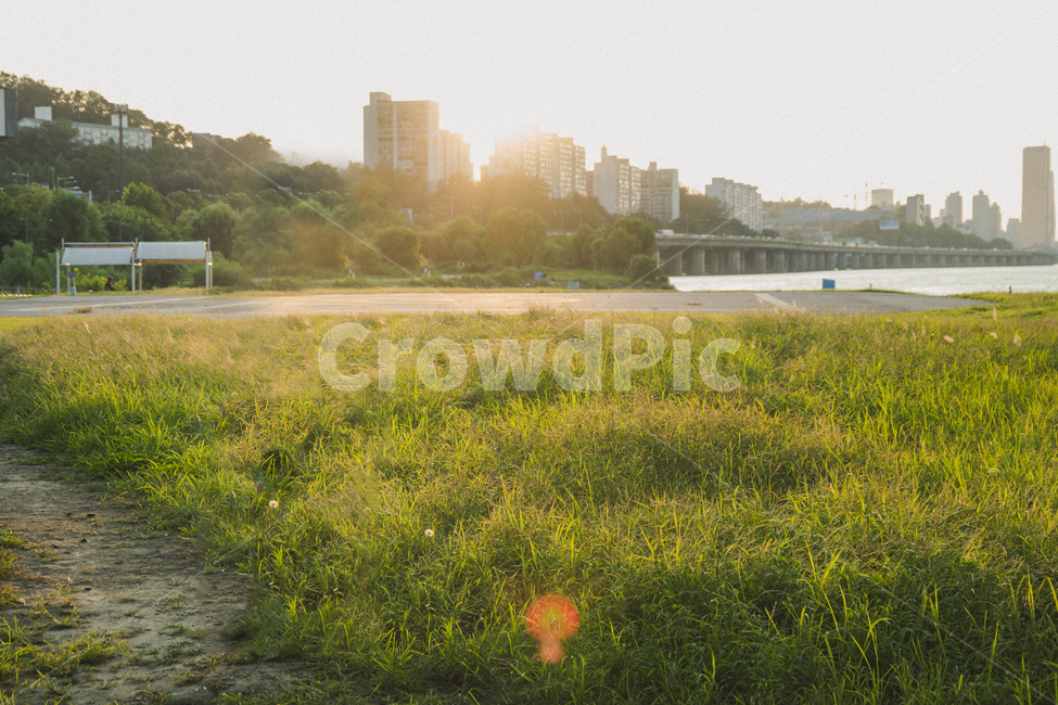 한강,갈대,억새풀,갈대밭,가을,자연,한강공원,이촌,nature,landscape,계절,fall,city,cityscape,hanriver,sun,sunshine,분위기,감성,감성사진,plant,plants,살랑,살랑살랑,healing,힐링,노을,sunrise,sunset,선셋,추억,메모리,memory,memories,autumn,season,풀,바람,해,햇빛,도시,공원,여유,초록,식물,sensible,feeling