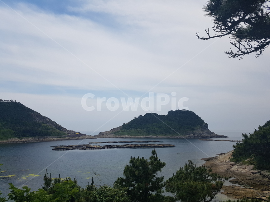 제주,제주도,추자도,여행,바다,올레길,제주도바다,하늘,풍경,자연,힐링,숲,길,구름,섬,나무,자연,풍경,nature,landscape,한국자연풍경,한국자연경관,korea nature landscape,제주도,jeju,jeju island,land,땅,outdoors,옥외,water,물,shoreline,해안선,sea,ocean,대양,coast,연안,island