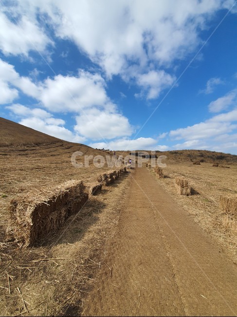 바닥,ground,도로,nature,자연,road,하늘,sky