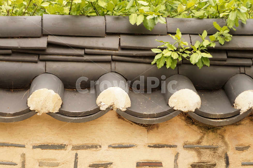 담장,한옥,기와,벽돌,돌담,나무,풀,초록,잎새,wall,stone,stonewall,bricks,hanok,korea,korean,koreanhouse,oriental,traditional,전통한옥,전통,건축양식,건축,plants,동양