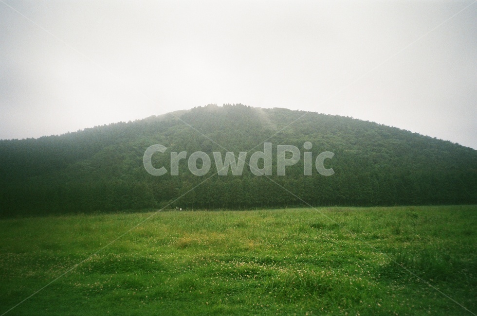 제주오름,오름,들판,초원,숲,안개,흐린날,풀,필름사진,산,자연,풍경,nature,landscape,outdoors,옥외,field,들,grassland,목초지