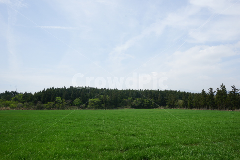 field,들,outdoors,옥외,grassland,nature,자연,farm,농장,countryside,rural,농촌,meadow,목초지,grass,잔디