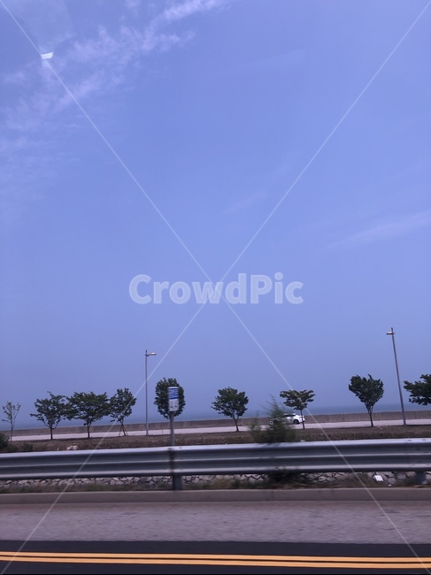 도로,tree,차도,풍경,driveway