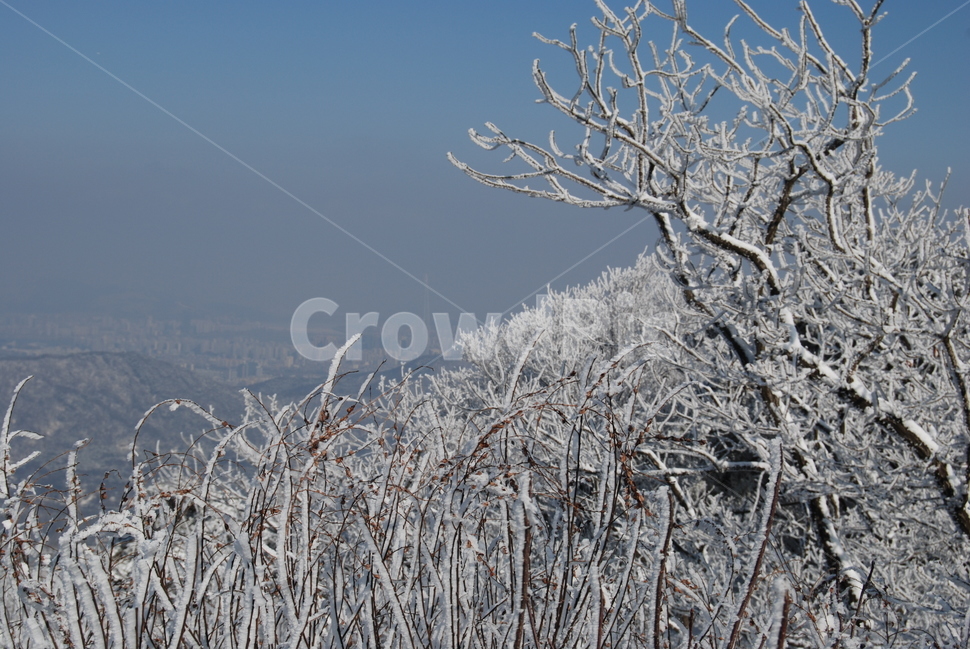 청계산,100대명산,매봉,설원,등산로,능선,치유,여행,돌,산행,힐링,자연,동행,등산,계절,한국,한국명산,한국등산,풍경,나무,하늘,겨울,계절,winter,season,자연,풍경,nature,landscape,한국자연풍경,한국자연경관,korea nature landscape,outdoors,옥외,ice,빙,snow,눈
