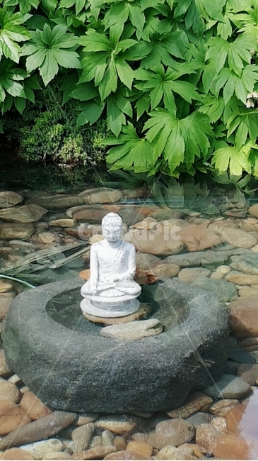 불상,자연,여유,소원,연못,조각상,동상,석상,조형물,statue,bronze statue,stone statue,종교,신앙,religion,belief,faith