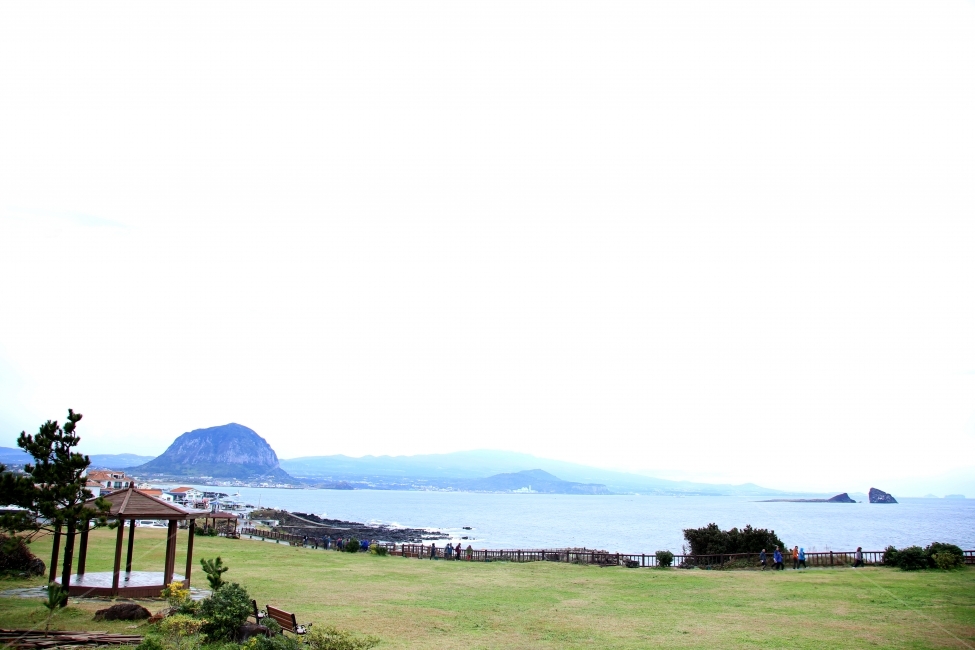 제주,바다,오름,비,제주도,자연,풍경,nature,landscape,한국자연풍경,한국자연경관,korea nature landscape,제주도,jeju,jeju island,outdoors,옥외,land,땅