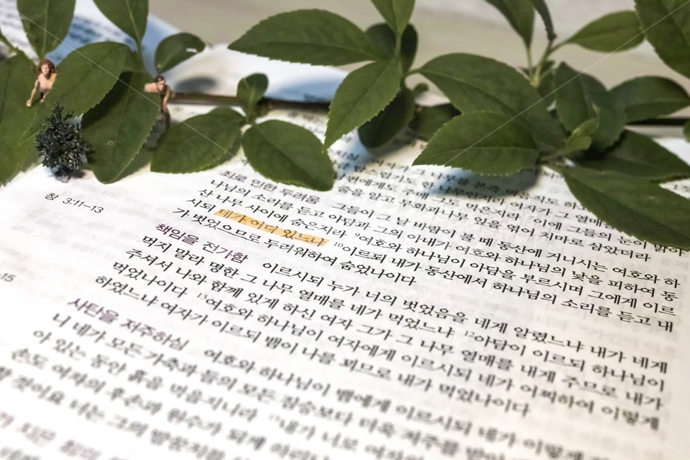 성경,창세기,아담,하와,이브,선악과,bible,holybible,genesis,묵상,말씀,말씀묵상,식물,자연,plants,nature,조각상,동상,석상,조형물,statue,bronze statue,stone statue,종교,신앙,religion,belief,faith,사물,물건,오브젝트,thing,object,matter,연출,컨셉,콘셉,direction,concept