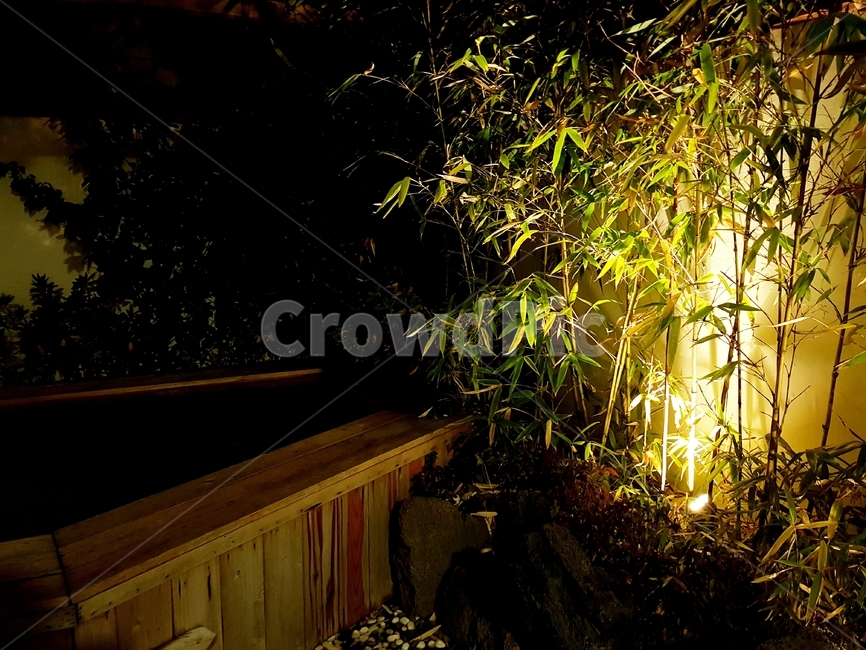 온천,노천탕,개인온천,료칸,부산,대나무,히노끼,야간온천,plant,식물