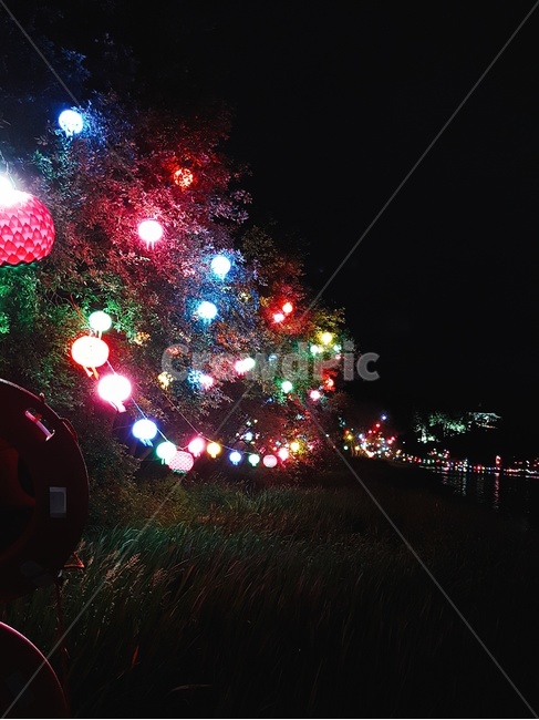 연등,불교,불빛,야경,경주,야경,밤,풍경,nightscape,night,landscape