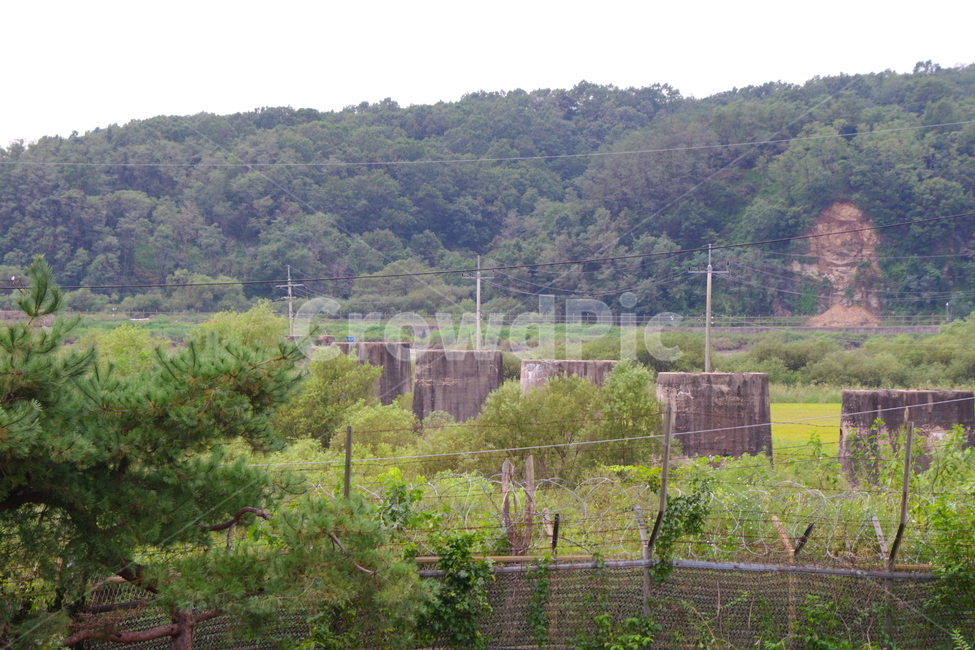 임진각,임진각평화누리공원,파주,한국,outdoors,옥외,nature,자연,다리,파괴된다리