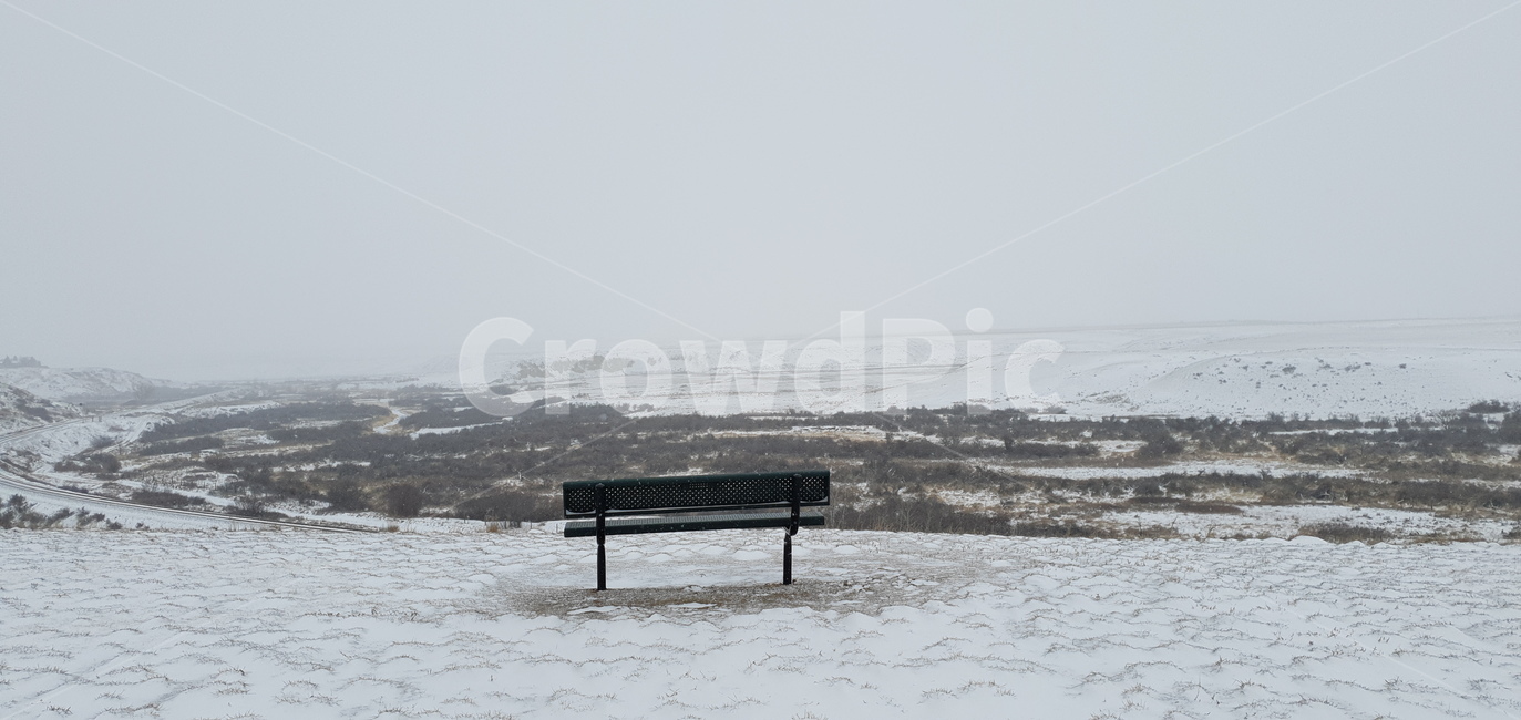 snow,벤치,캐나다,park,겨울