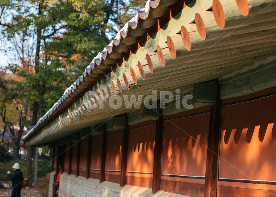 궁궐,지붕,처마,한국적,전통적