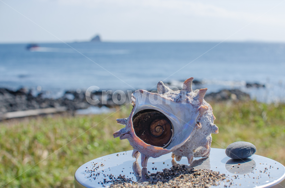 제주도,바다,섬,뿔소라,모래,자갈,하늘,해변,바다,beach,sea,제주도,jeju,jeju island,감성,sensible,feeling