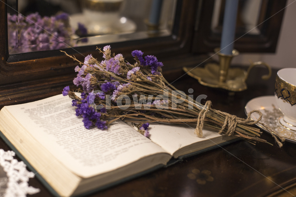 책,빈티지,영문,고서,인테리어,드라이플라워,보라색,실내,거울,반사,꽃,flower,빈티지사진,빈티지느낌,빈티지감성,vintage