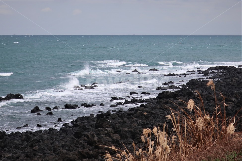 제주,해안,해변,바닷가,파도,현무암,수평선,풍경,경치,자연,해변,바다,beach,sea