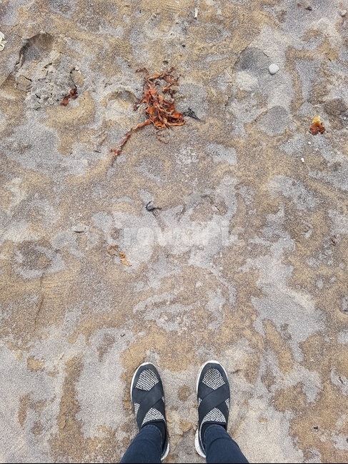 해변,모래사장,바다,발,운동화,자연,풍경,nature,landscape,사람,인물,인간,human,person,신체일부,몸,body