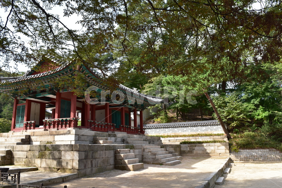 궁궐,비원,창덕궁비원,전통건물,세계문화유산,기와,전통,역사,한옥,하늘,푸른,한국전통,한국문화,korean traditional,korean culture