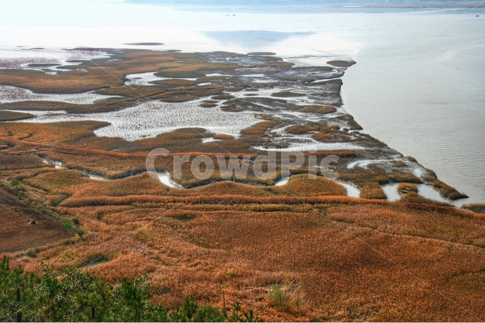 순천,순천만,갈대,바다,바닷가풍경,습지,산,하늘,바닷길,가을,가을바다,가을,계절,fall,autumn,season,자연,풍경,nature,landscape,한국자연풍경,한국자연경관,korea nature landscape,outdoors,옥외,land,땅,plateau,고원,tundra,동토대,scenery,경치