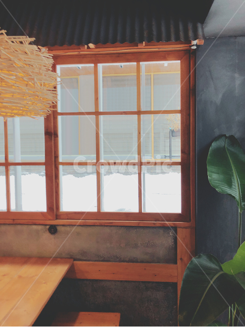 눈,감성,겨울,고즈넉,포근,눈풍경,겨울풍경,창밖풍경,무드,창문,window,기와,지붕,창틀,식물,풍경