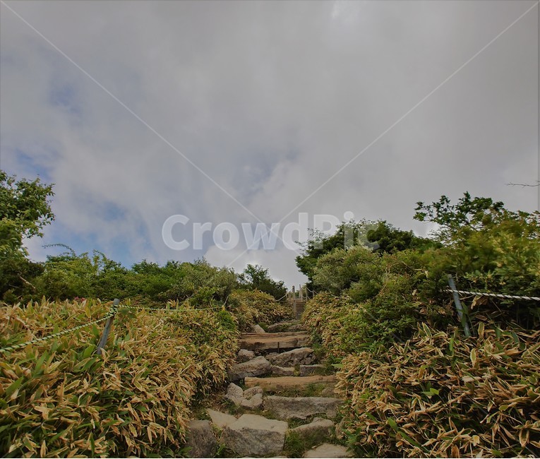 한라산,제주도,풍경,경치,자연,korea,한국,hiking,자연,풍경,nature,landscape,path,통로,walkway,보도,outdoors,옥외,slate,슬레이트,flagstone,판석