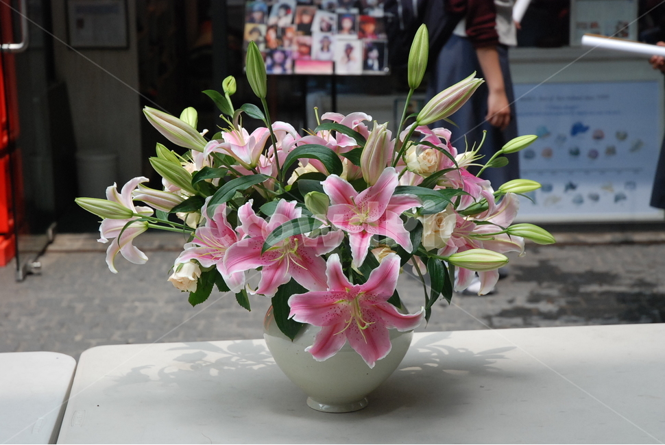 plant,식물,flower,꽃,flowerarrangement,꽃꽂이