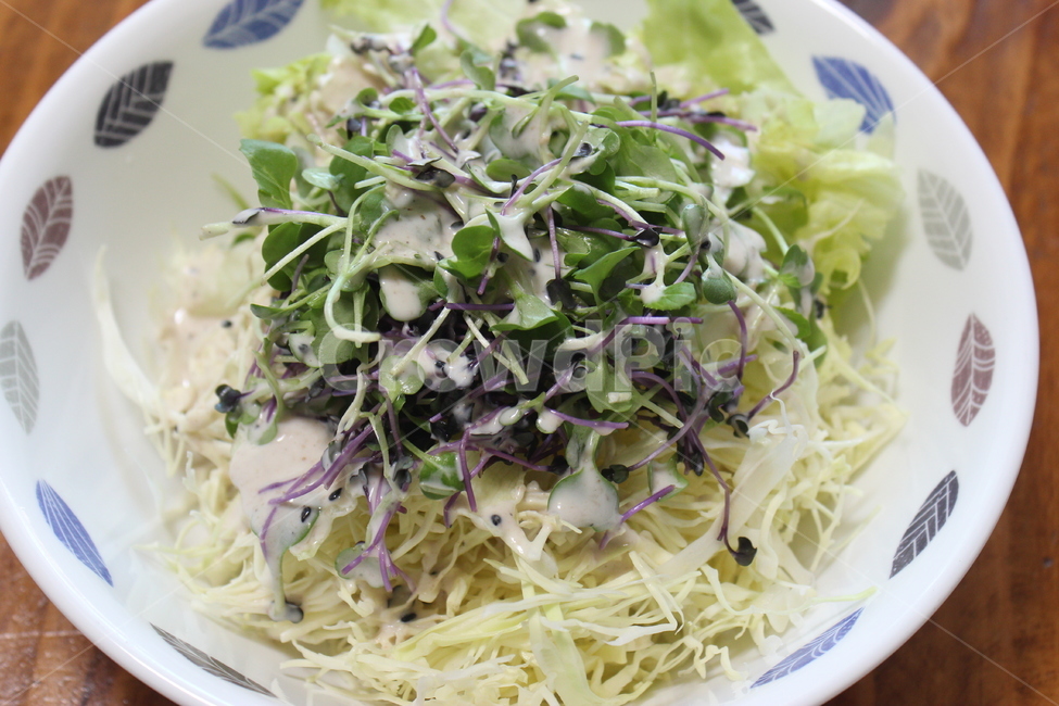 food,음식,샐러드,야채,vegetable,요리