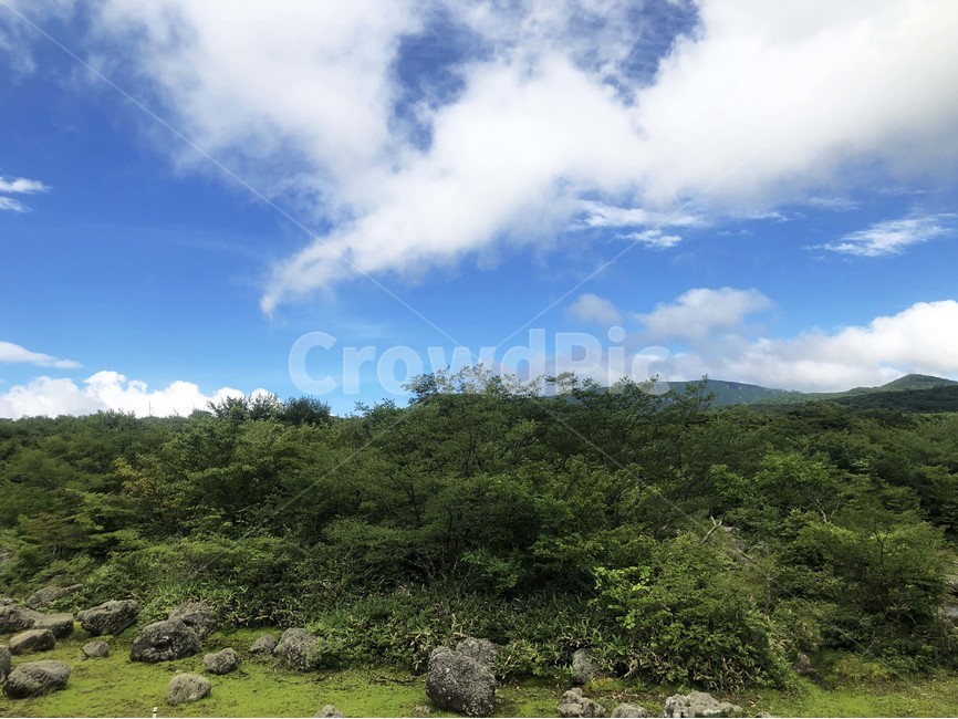 nature,목초지,들,1100고지,천백고지,구름,하늘,산들,산,나무,맑은날,쾌청,맑음,field,자연,풍경,nature,landscape