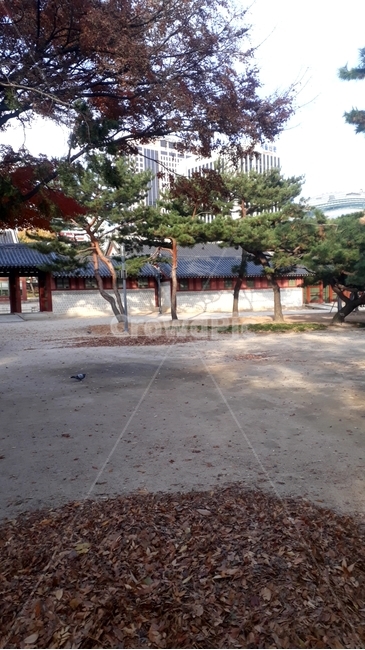 조선,조선시대,조선건축물,조선궁궐,조선고궁,조선건물,조선목조건물,조선풍,조선식,조선스타일,조선후기,조선시기,조선전통,조선문화,조선문화재