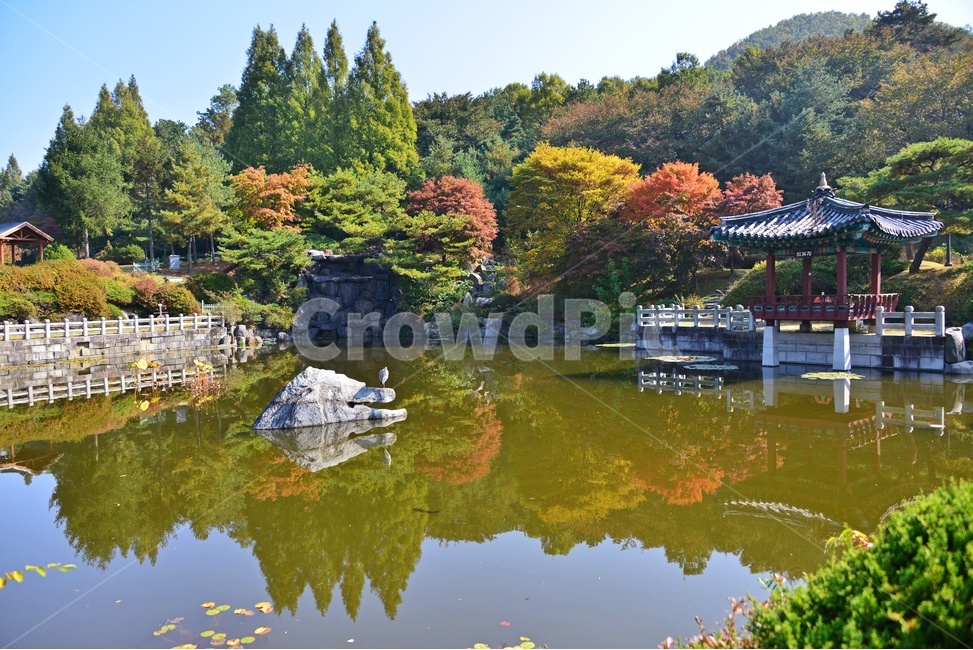 nature,자연,outdoors,옥외,architecture,건축물,water,물,plant,식물,tree,나무,현충원,국립현충원,국립,현충지,추색,가을,계절,만추,단풍,단풍잎,반영,정자,경치,경관,풍경