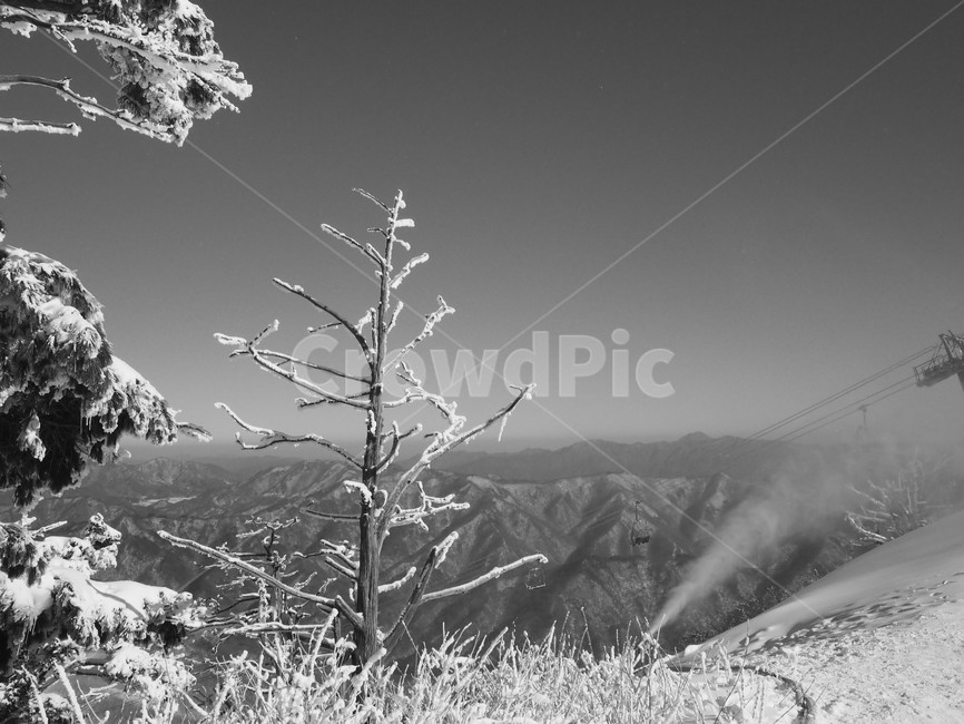 겨울,덕유산,눈꽃,외로움,풍경,무주,눈,겨울,계절,winter,season,자연,풍경,nature,landscape,흑백,모노톤,monochrome,black and white,outdoors,옥외,snow,frost,서리
