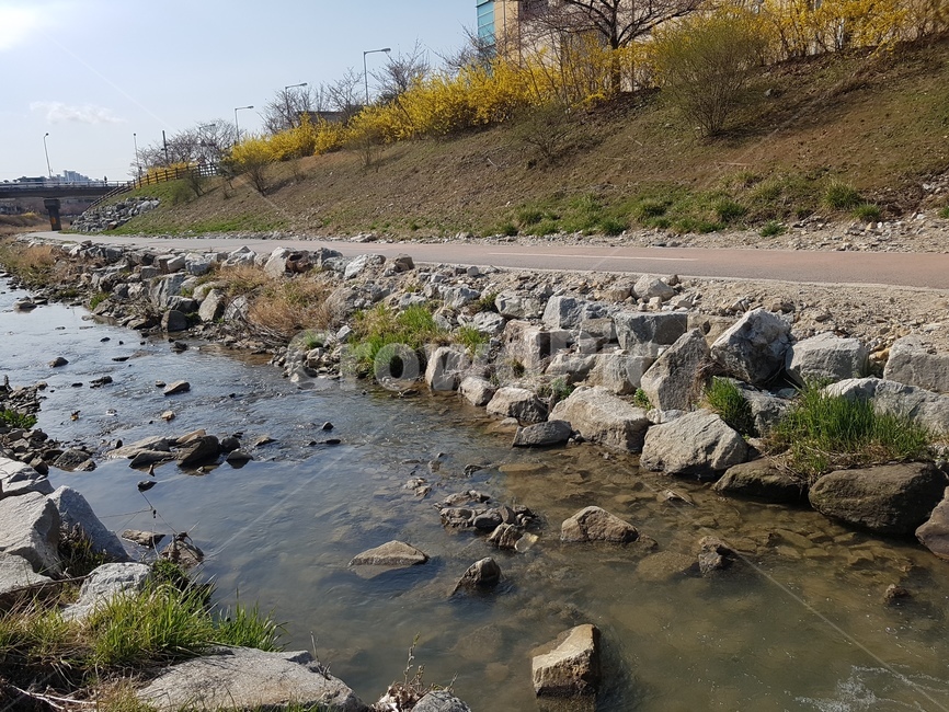 봄,벗꽃,잔디,개나리,4월,파릇파릇,하늘,돌다리,하천,노란색,초록,산책로,봉우리,계절,나무,봄,계절,spring,season,자연,풍경,nature,landscape,rubble,파편,water,물