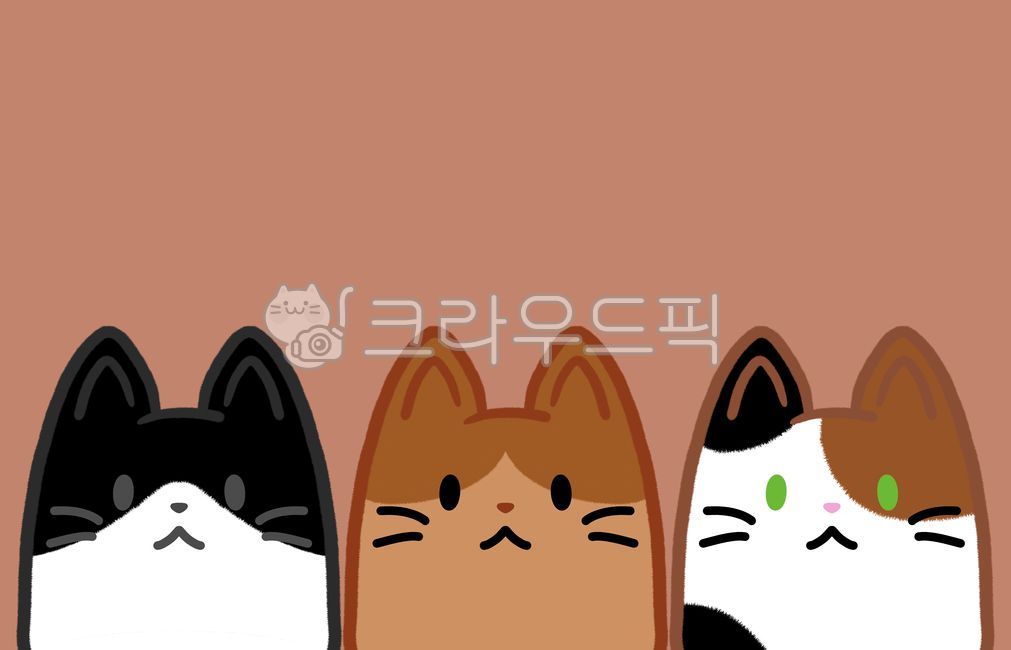 고양이,동물,귀여운,따뜻한,cat,animal,포유류,형제,가족,family