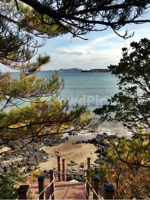 목책,하도해변,올레21코스,올레,제주,바다,올레길,소나무,자연,풍경,nature,landscape,제주도,jeju,jeju island,outdoors,옥외,land,땅,tree,나무,plant,식물,water,물,sea,ocean,대양,shoreline,해안선