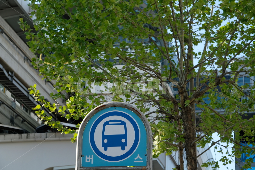 bus,sign,station,Bus stop,bus sign