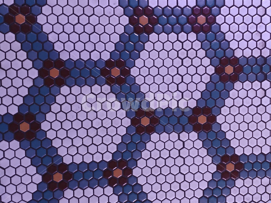 바닥,패턴,질감,문양,pattern,texture,배경
