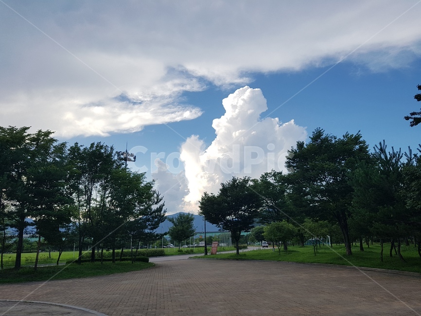 하늘,구름,뭉개구름,나무,자연,sky,휴식